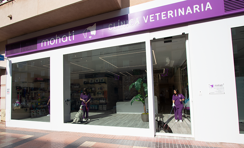clinica veterinaria en Cartagena